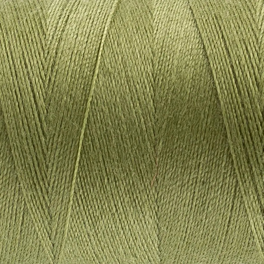 DS228 - Designer™ All purpose 40wt Polyester Wild Willow Thread WonderFil USA