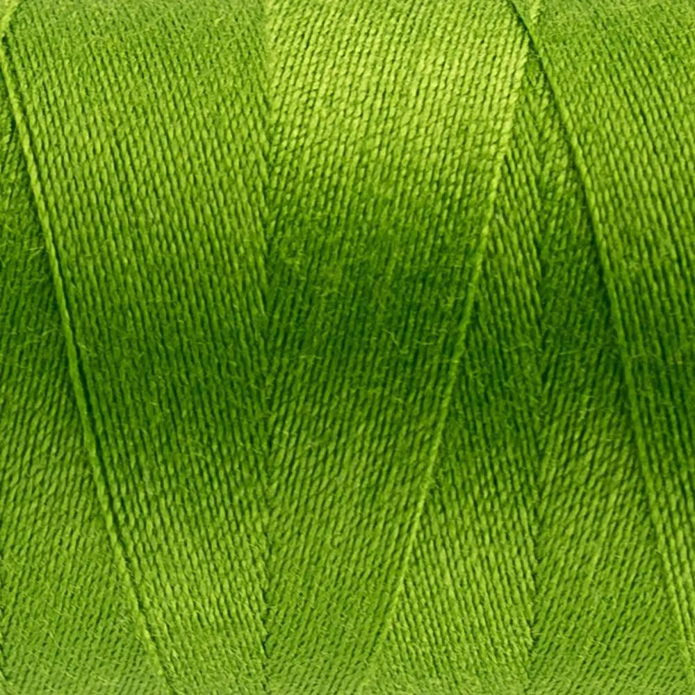 DS841 - Designer™ All purpose 40wt Polyester Spring Bud Thread WonderFil USA