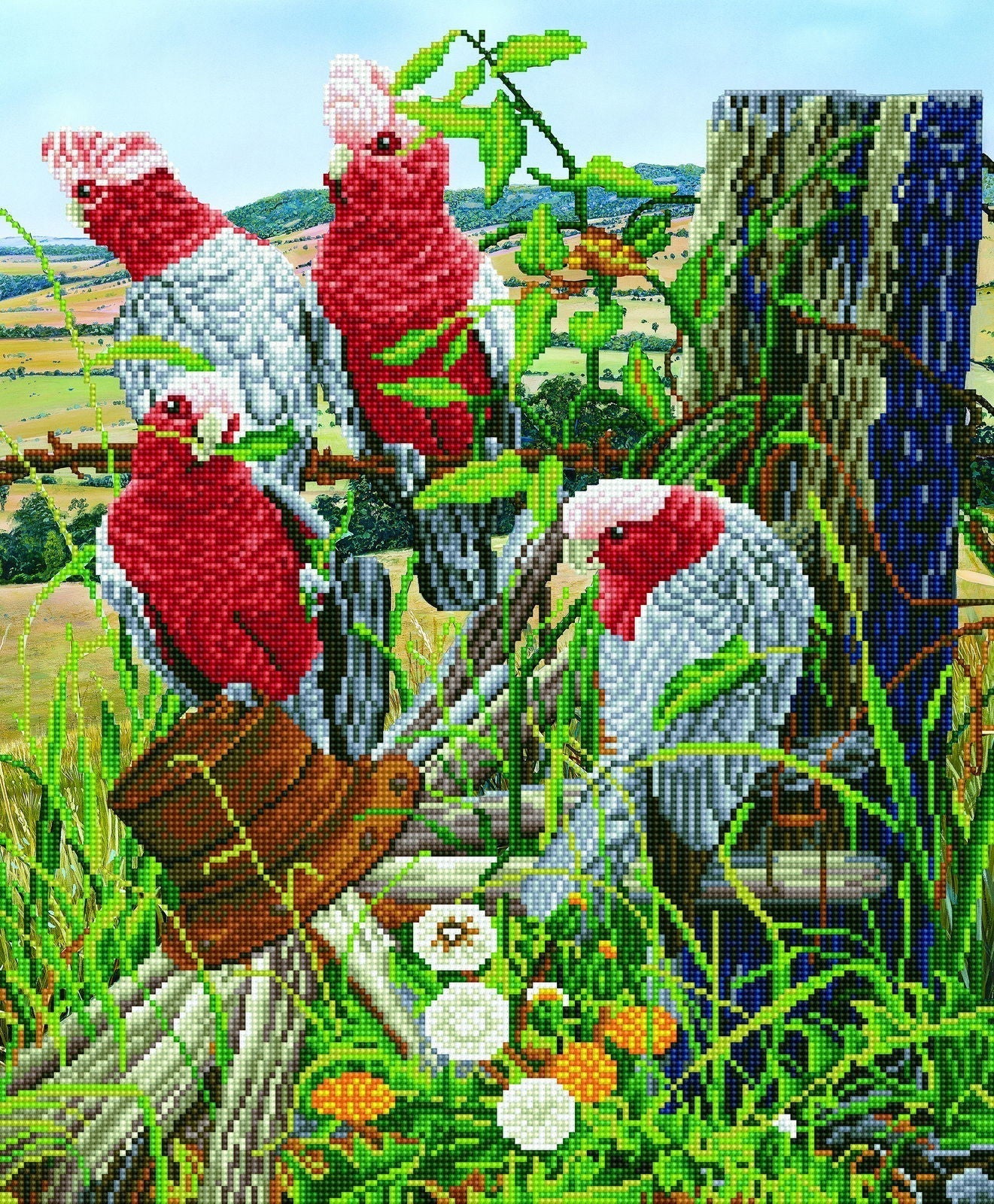 Diamond Dotz Galah Quartet - 18.5" x 22.4"