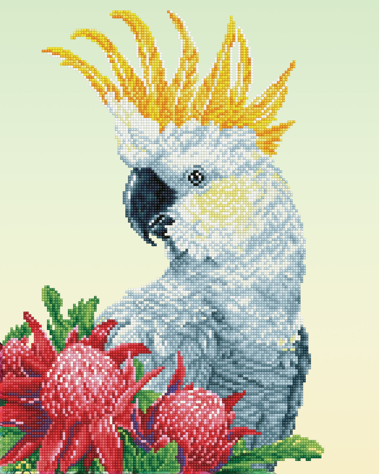 Diamond Dotz White Cockatoo & Waratahs - 16.1" x 20.1"