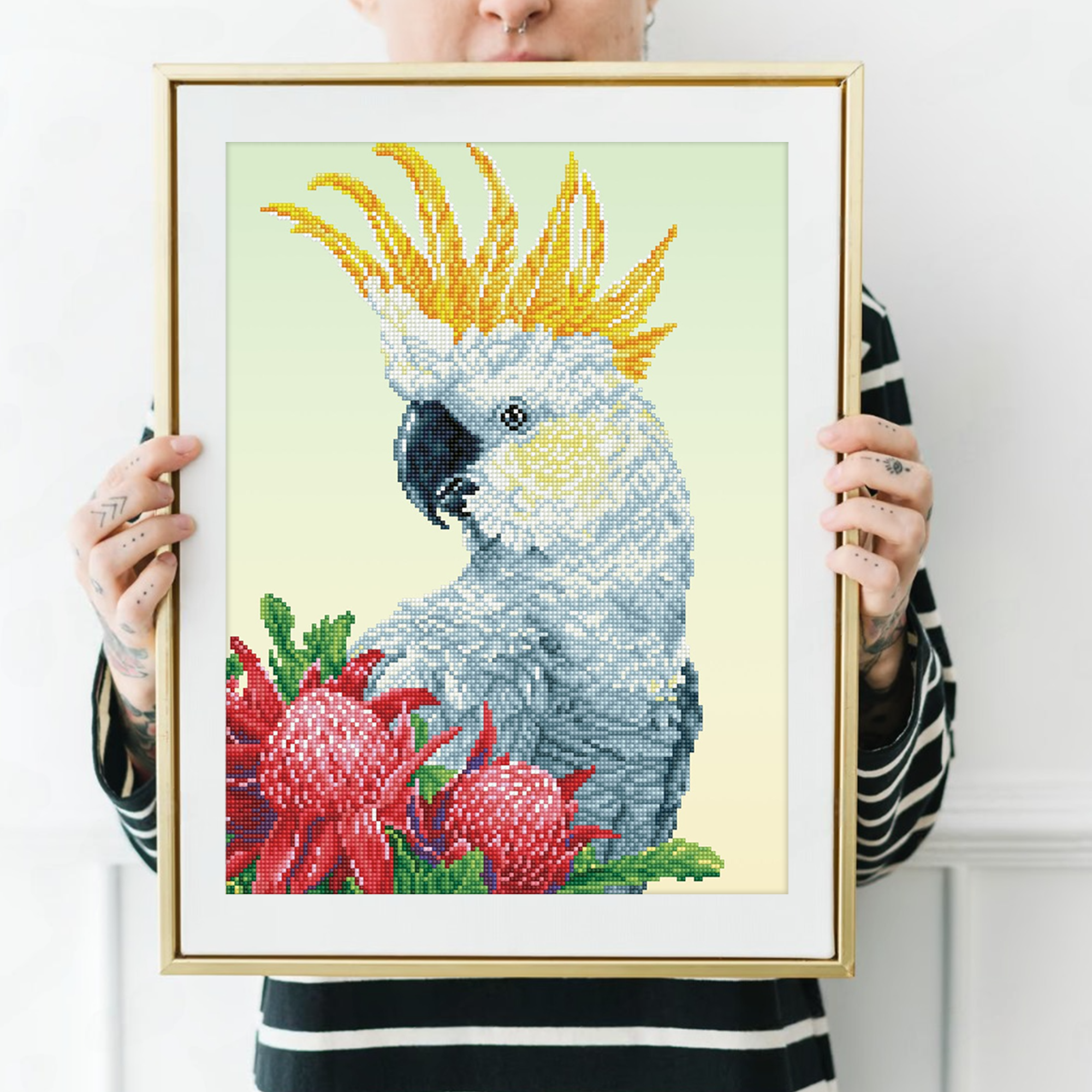 Diamond Dotz White Cockatoo & Waratahs - 16.1" x 20.1"