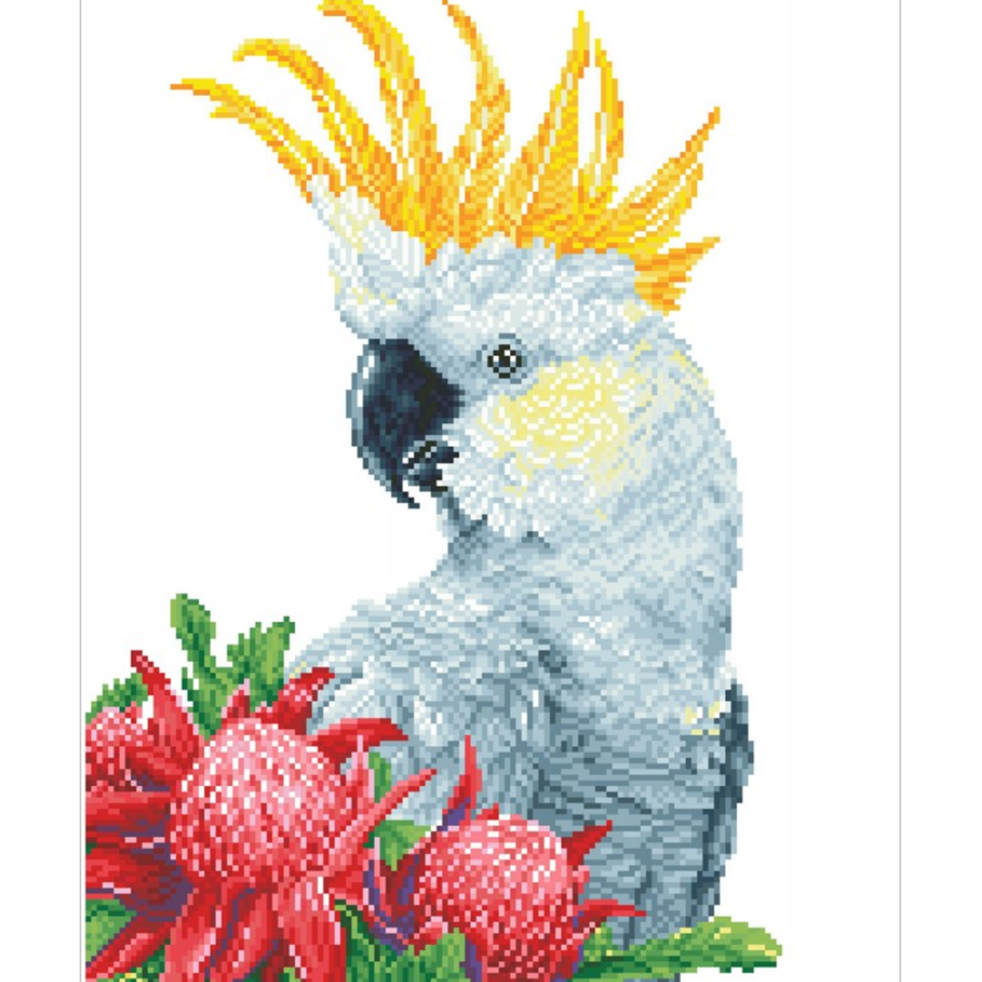 Diamond Dotz White Cockatoo & Waratahs - 16.1" x 20.1"