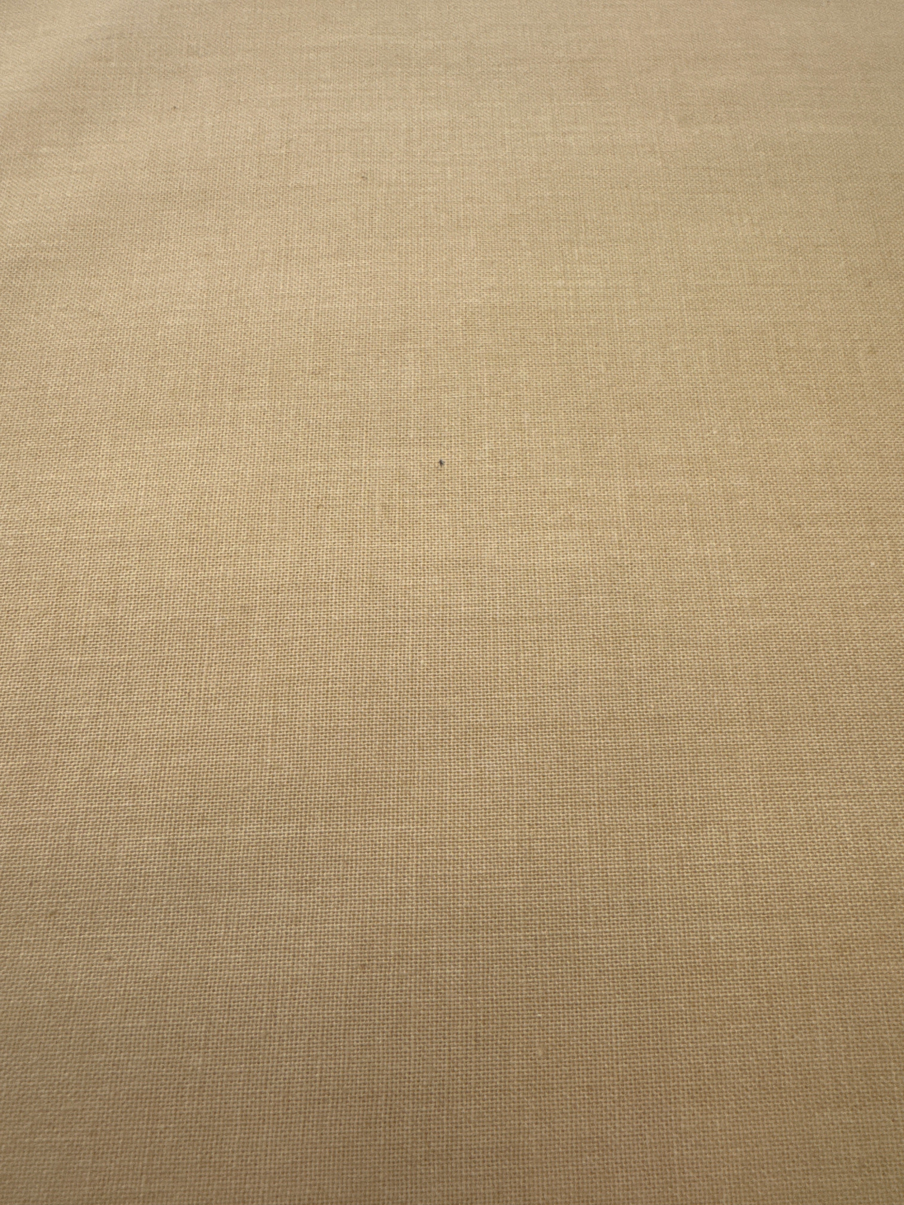 French General Solids Light Dijon quilting fabric by Moda