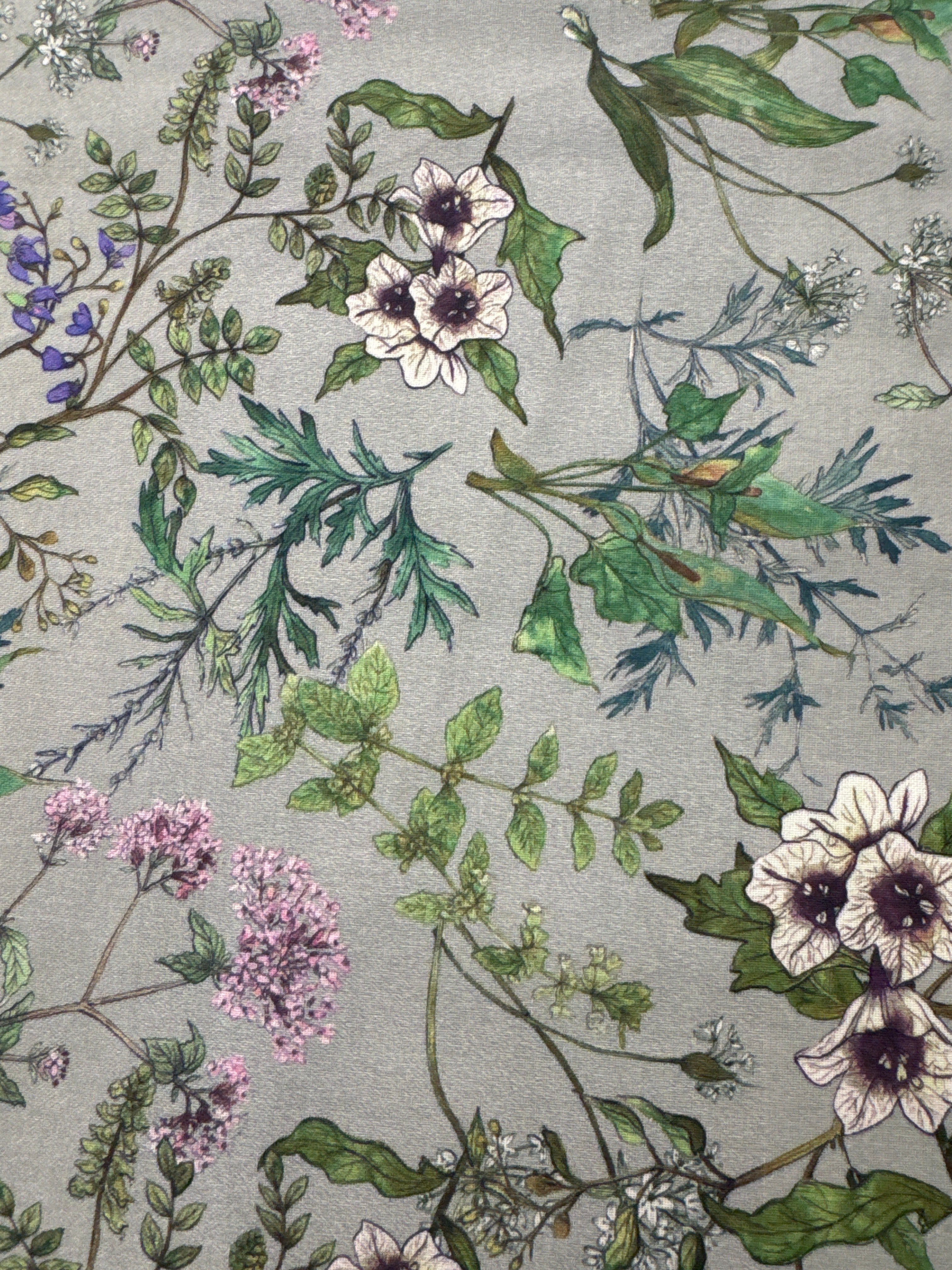 Secret Garden Grey Sage blender quilting fabric by Windham Fabrics