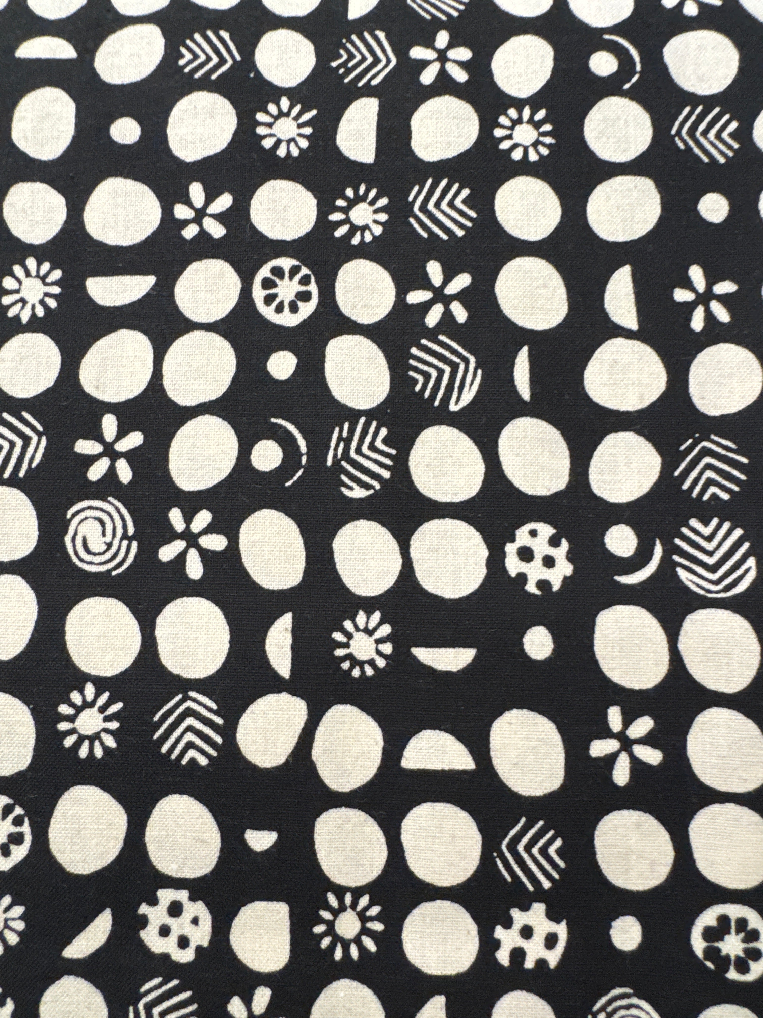 Homestead Accents Black blender quilting fabric by Cotton + Steel