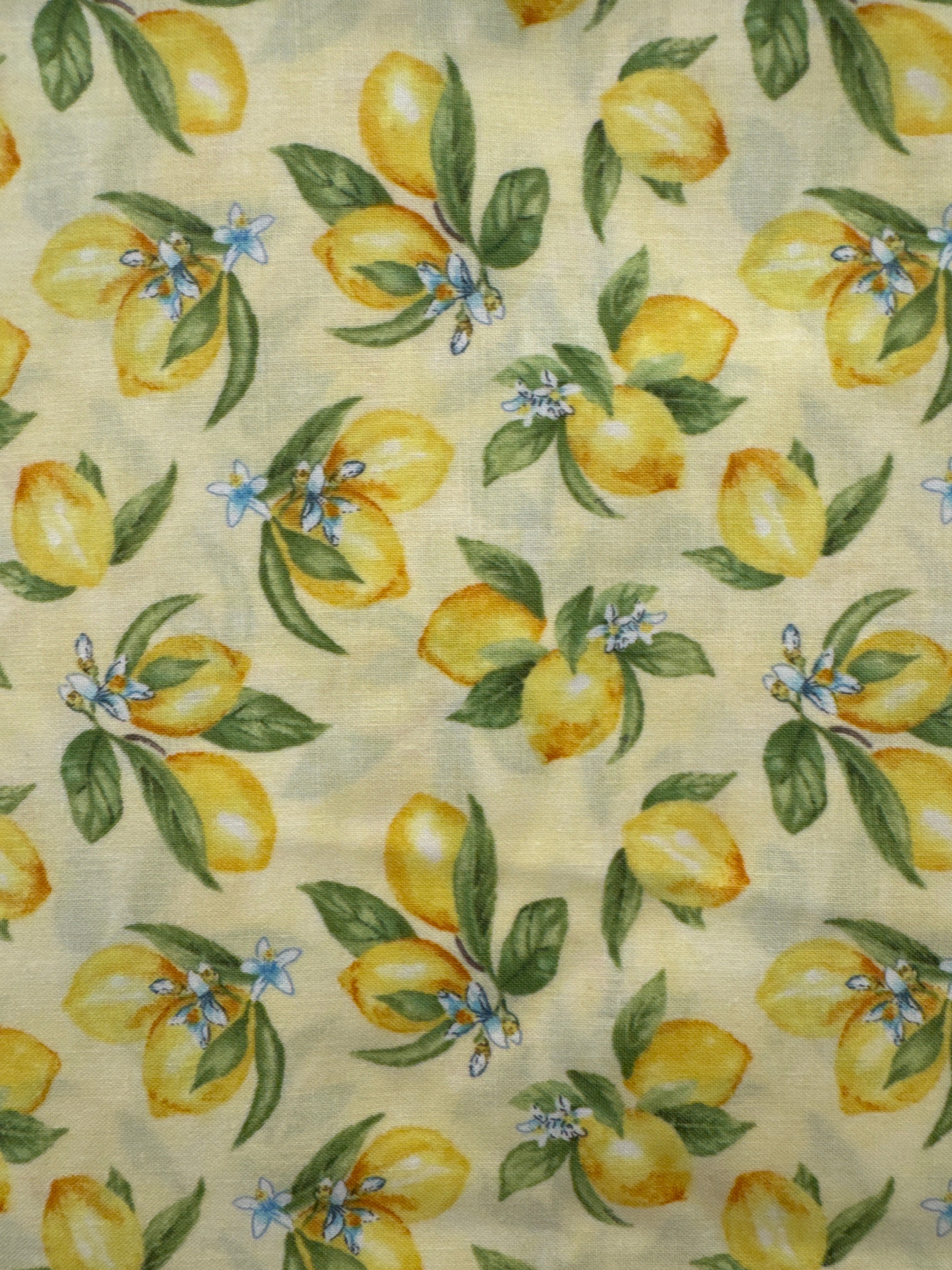 Zest for Life Lemon blender quilting fabric by Wilmington Prints