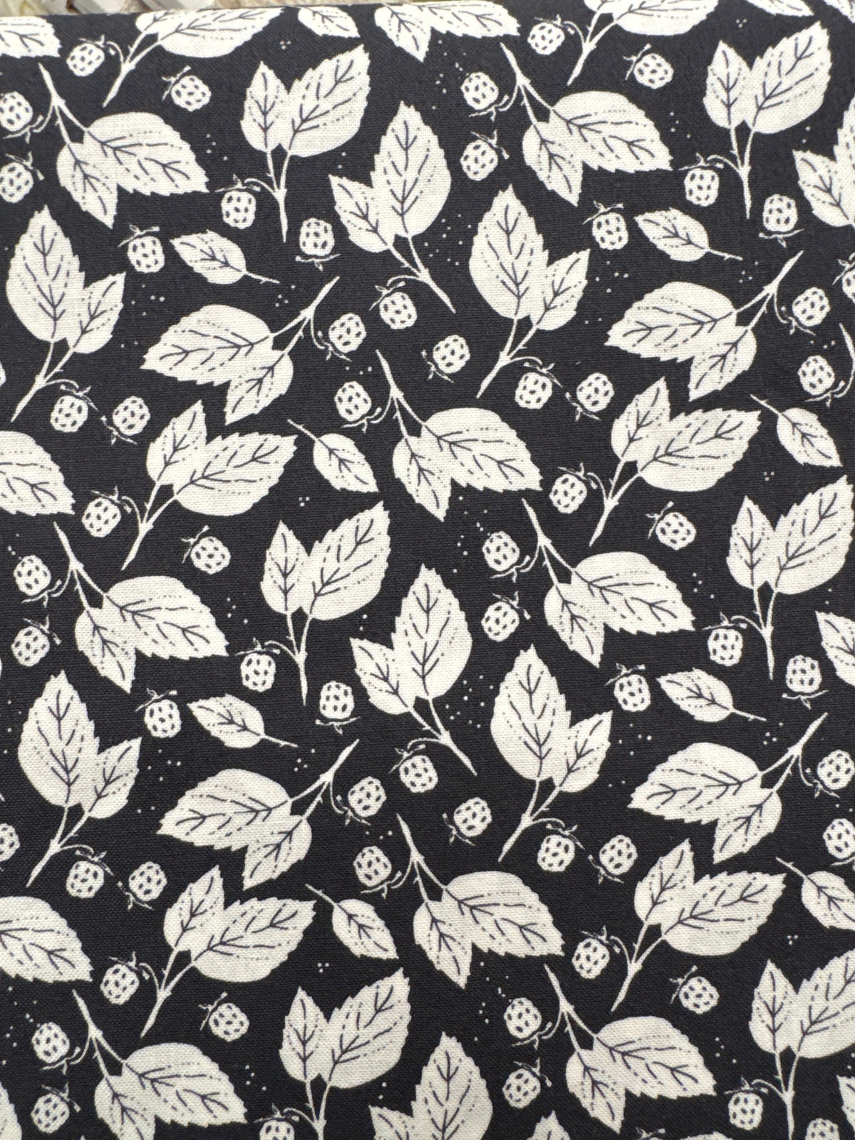 Midnight in the Garden White Leaf Toss on Black Halloween quilting fabric by Moda