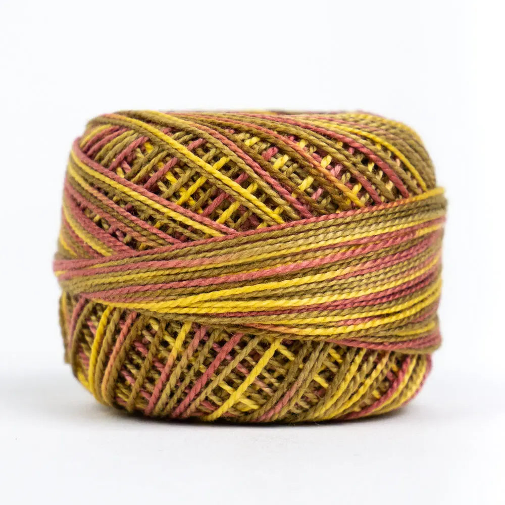 EL5GM-1016 - Eleganza™ 8wt Egyptian Cotton Autumn Spice Thread WonderFil USA