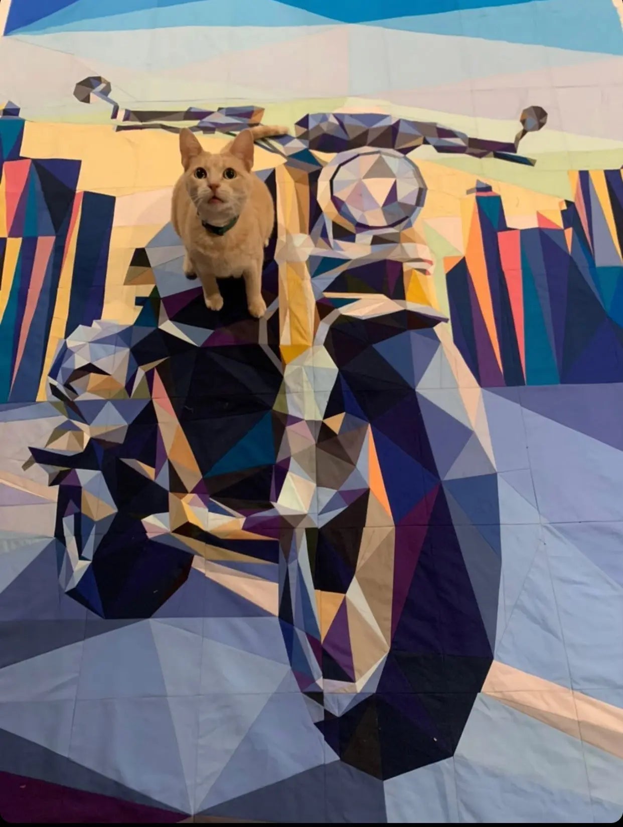 Easy Rider Quilt Kit - Linda's Electric Quilters