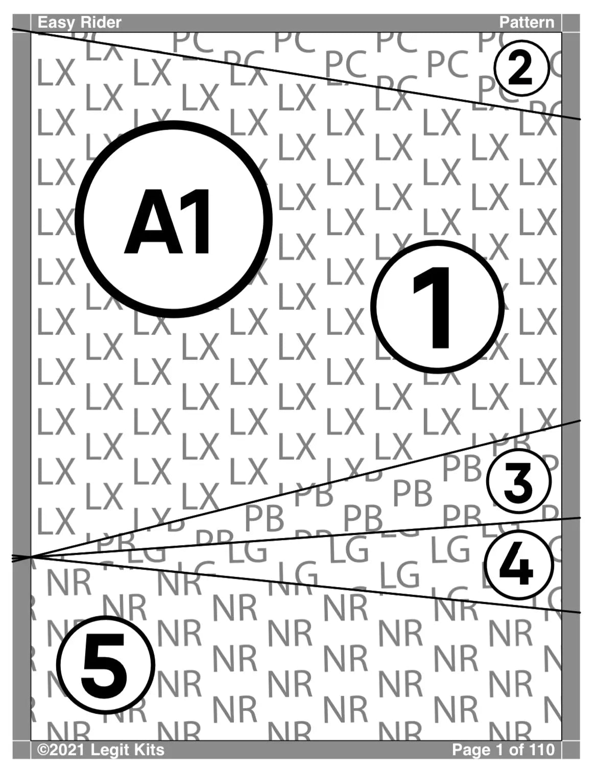 Easy Rider Quilt Kit - Linda's Electric Quilters
