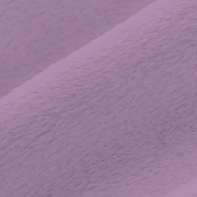 C3 ELDERBERRY LINDA'S