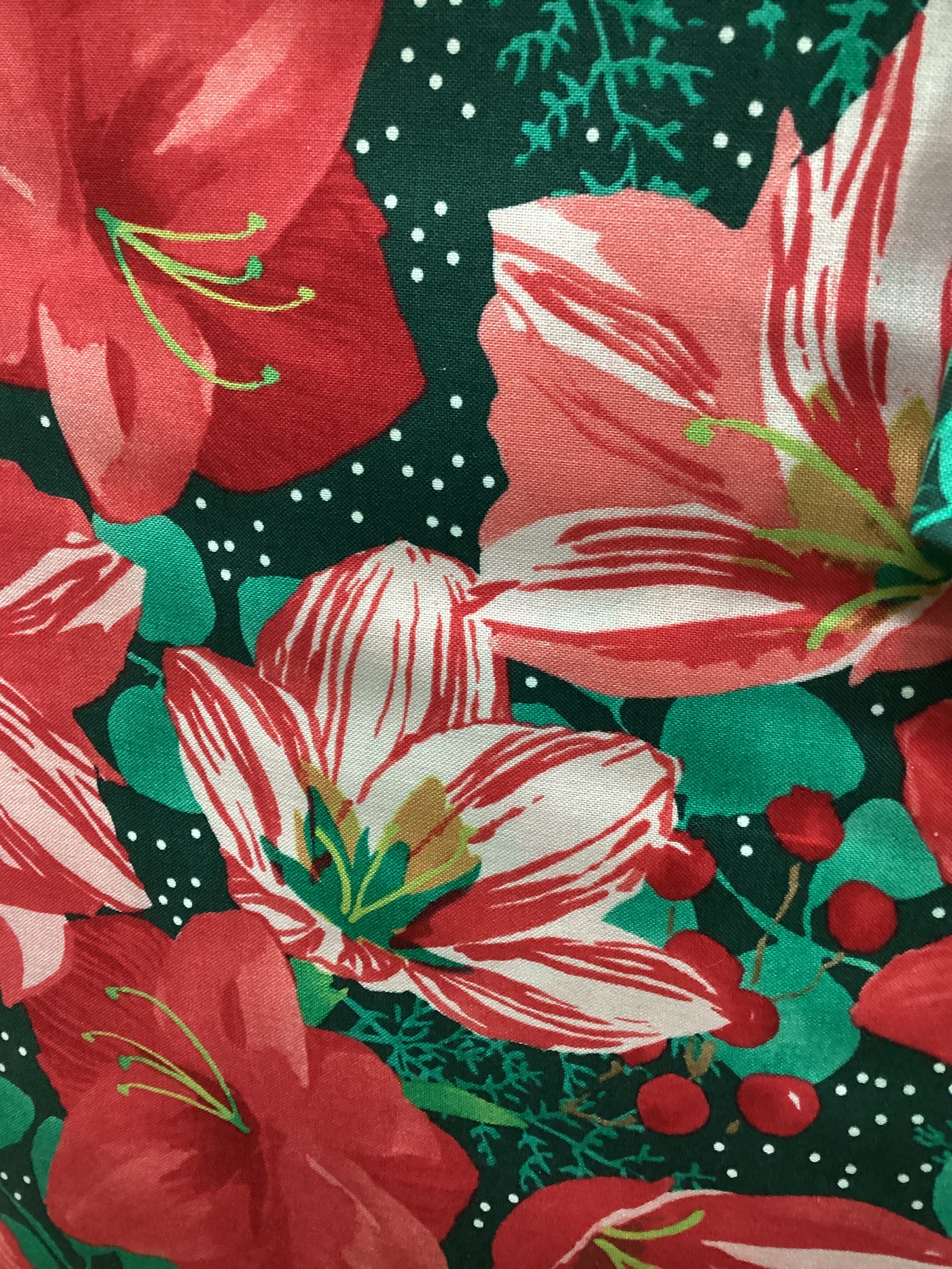 Moda Robin Pickens Winterly Red quilting fabric