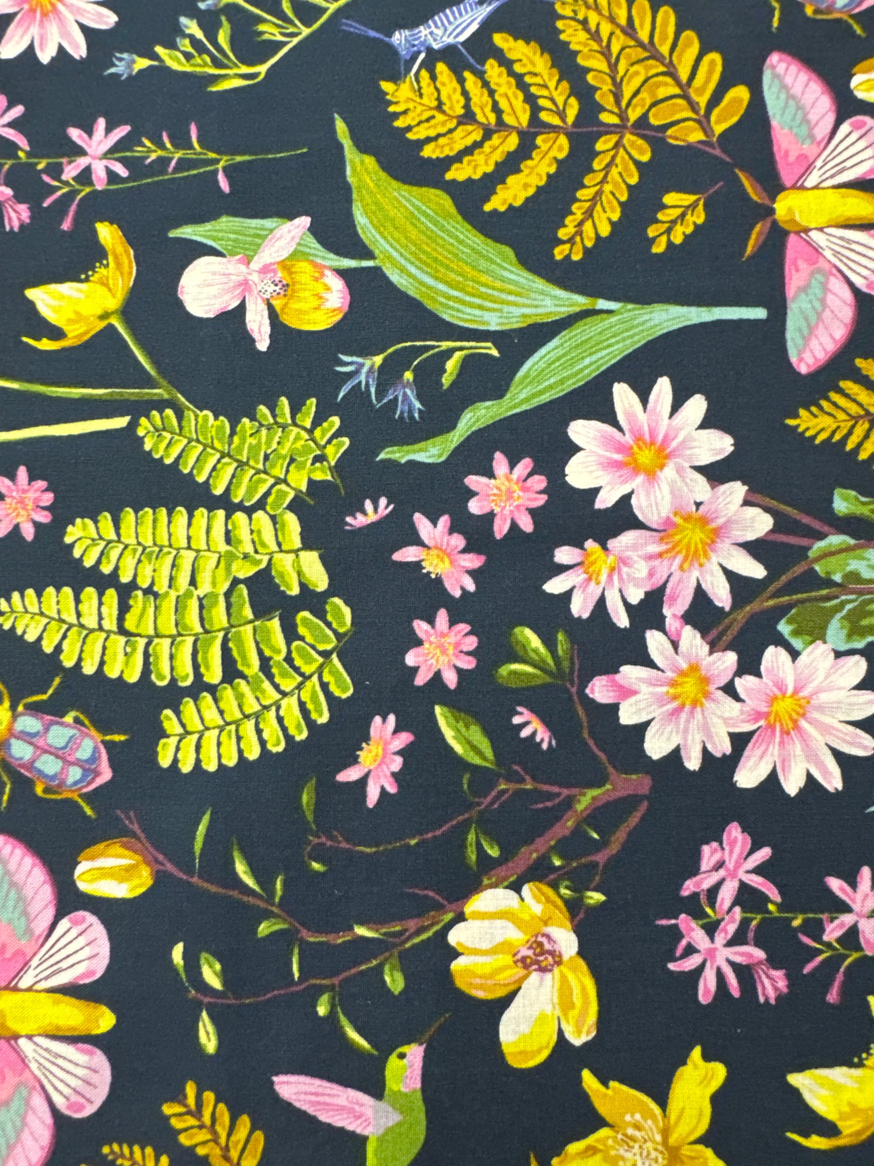 Moths Orchids and Hummingbirds Black Navy novelty quilting fabric by Windham Fabrics