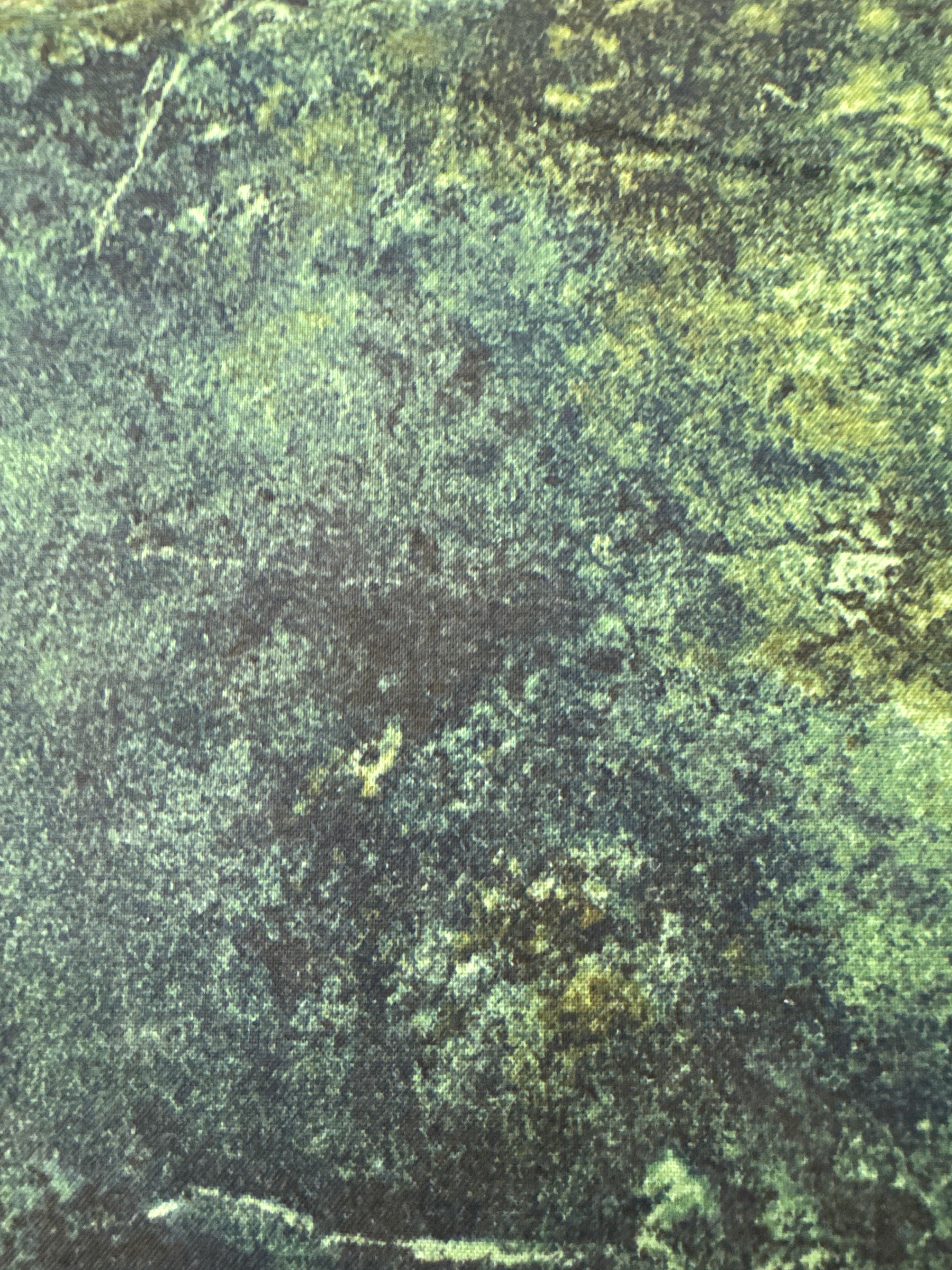 Stonehenge Gradations II Sienna Marble Pine Ridge blender quilting fabric by Northcott