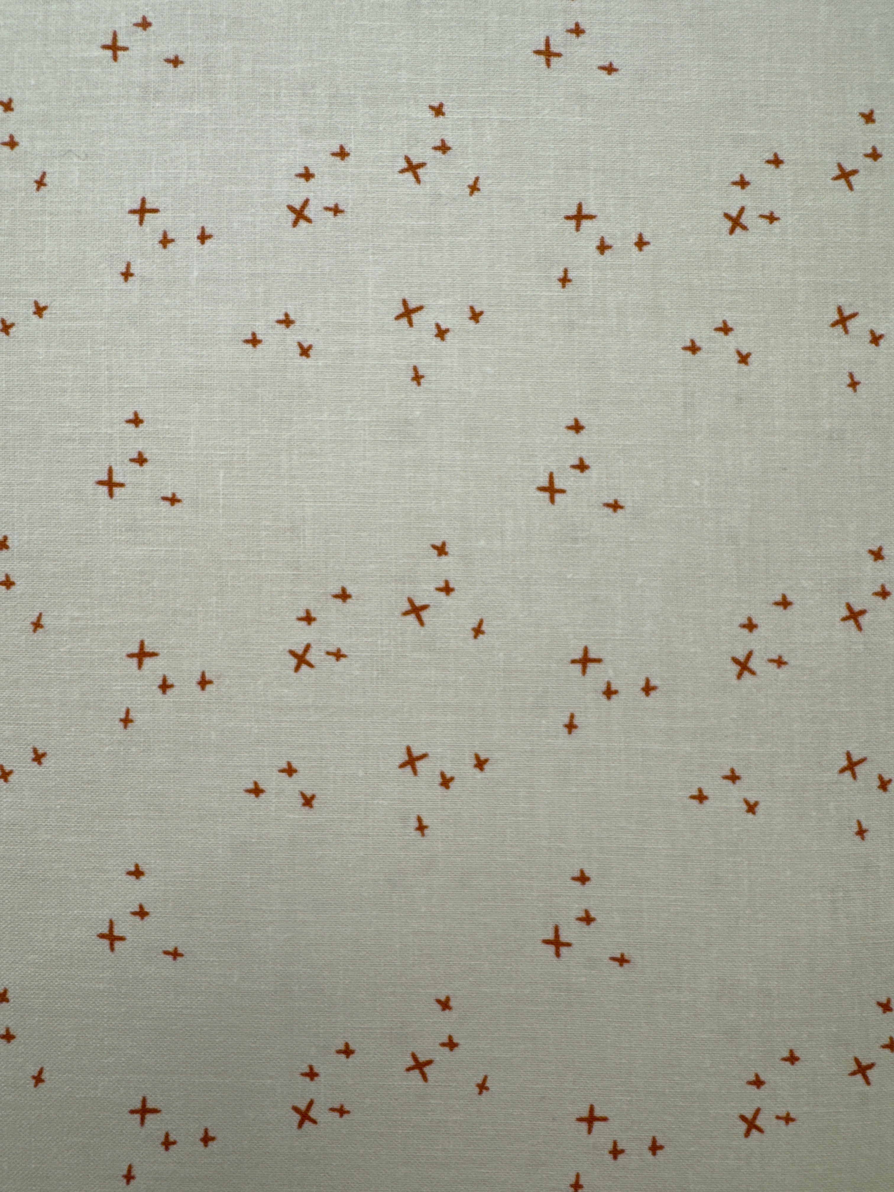 Pumpkin Spice Sparkle Ivory blender quilting fabric by Riley Blake