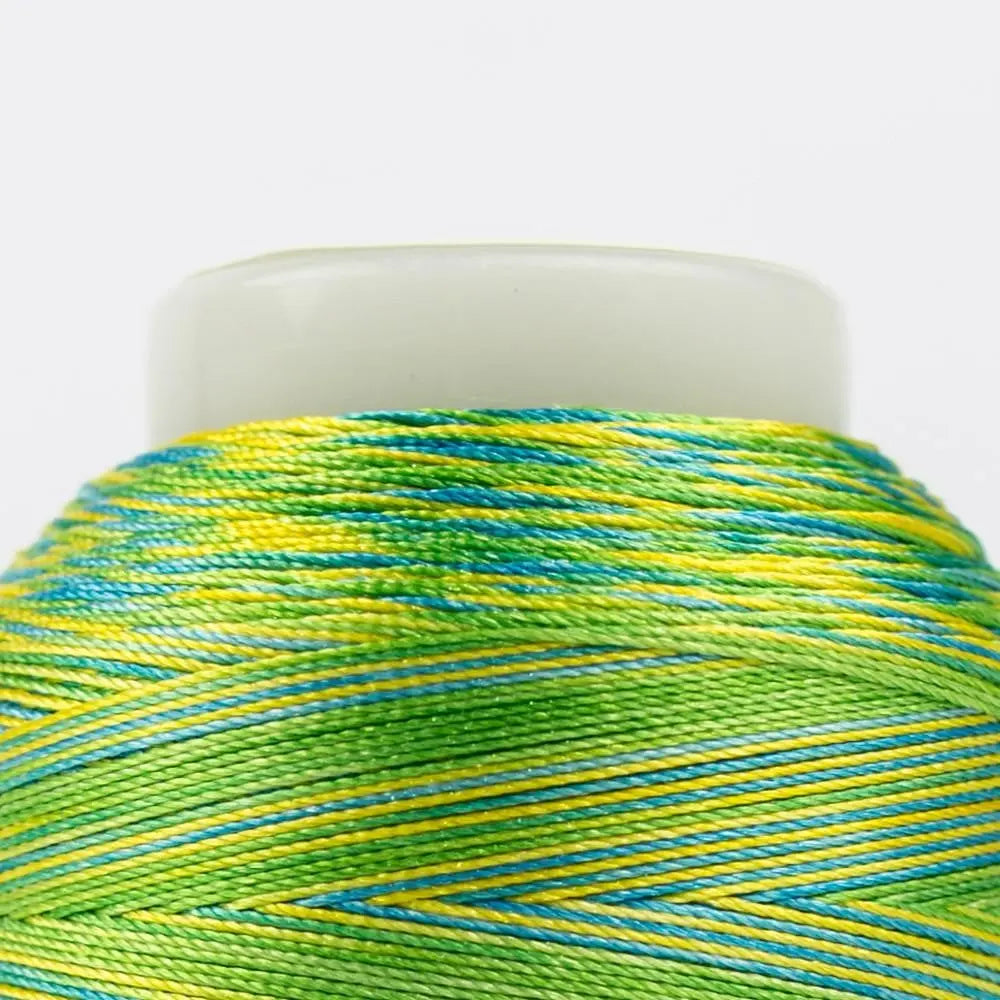 FB07 - Fabulux™ 40wt Trilobal Polyester Cabana Thread WonderFil USA