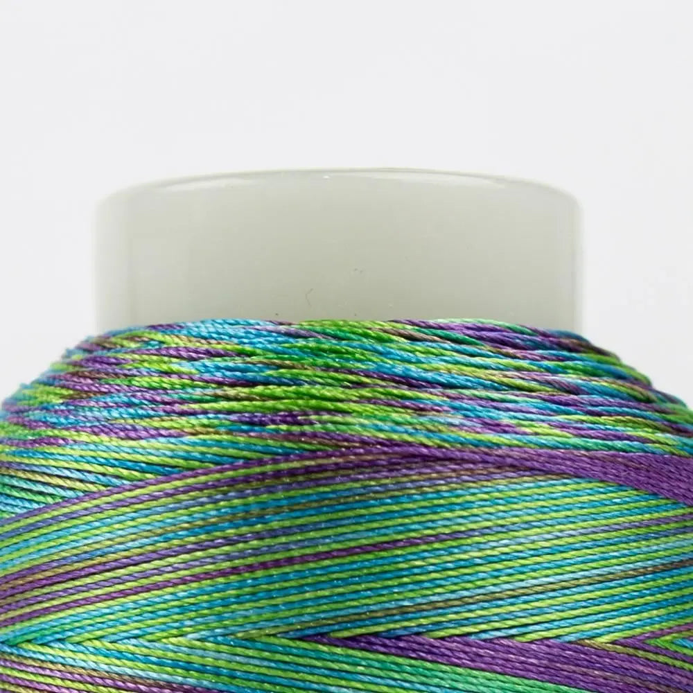 FB10- Fabulux™ 40wt Trilobal Polyester Aquarium Thread WonderFil USA