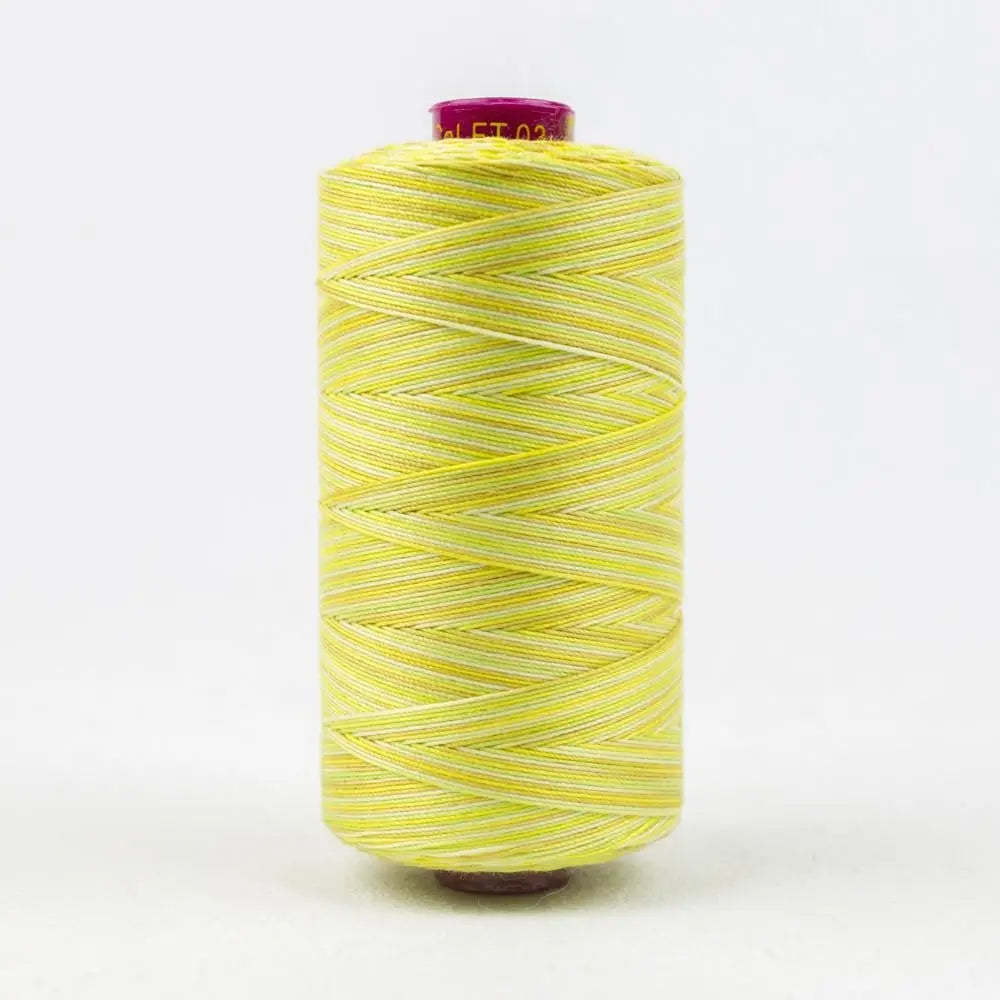 FT03 - Fruitti™ 12wt Egyptian Cotton Citrus Thread WonderFil USA