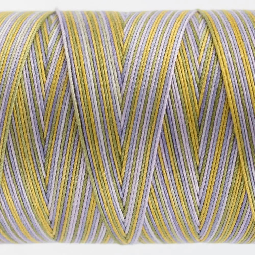 FT14 - Fruitti™ 12wt Egyptian Cotton Spring Thread WonderFil USA