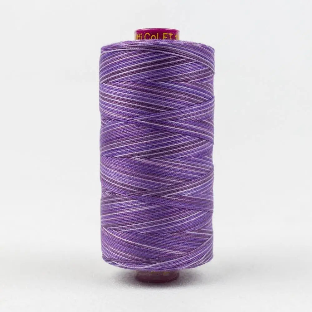 FT18 - Fruitti™ 12wt Egyptian Cotton Blueberry Thread WonderFil USA