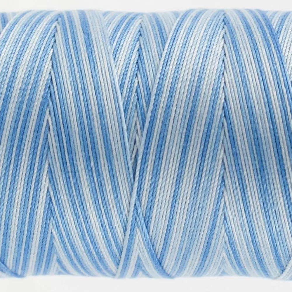 FT21 - Fruitti™ 12wt Egyptian Cotton Sky Blue Thread WonderFil USA