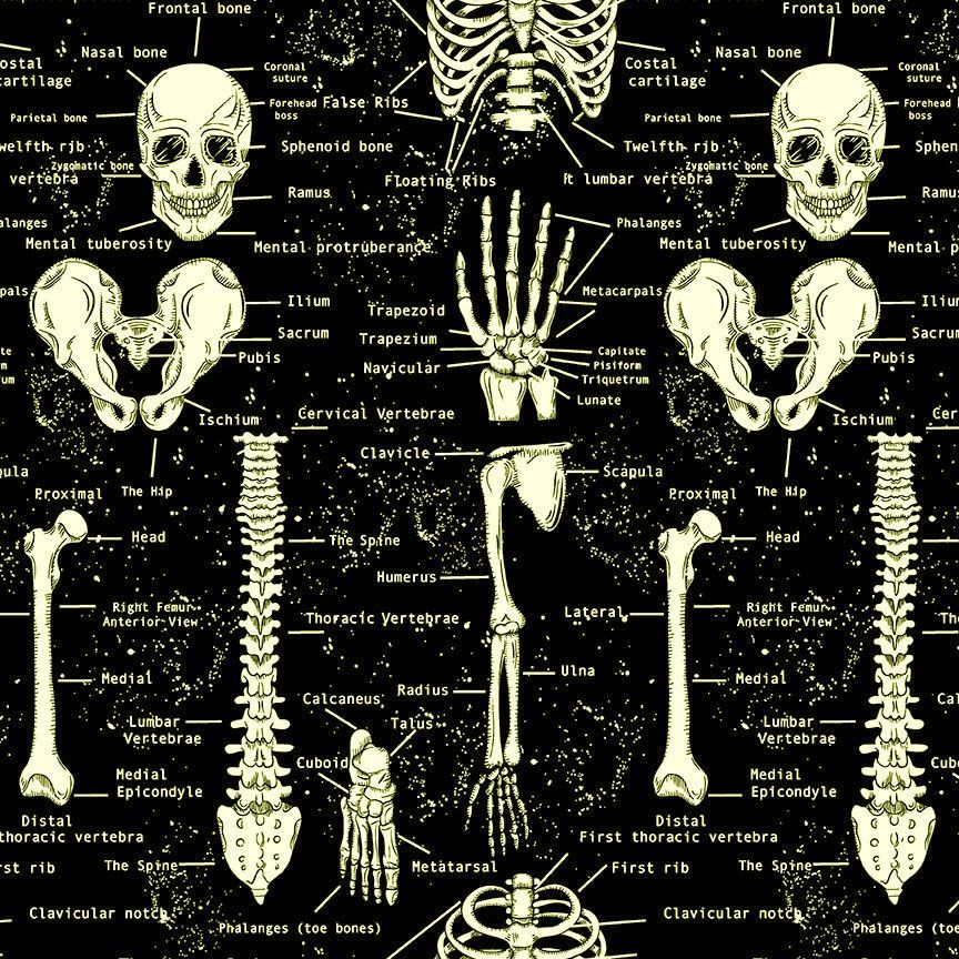 Black Glow in the Dark Skeletons Cotton 44"/45" Fabric Per Yard