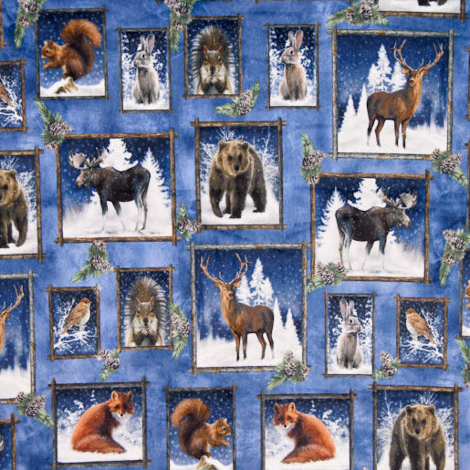 Multi Frosty Frames Digital Cuddle 58/60" Fabric Per Yard