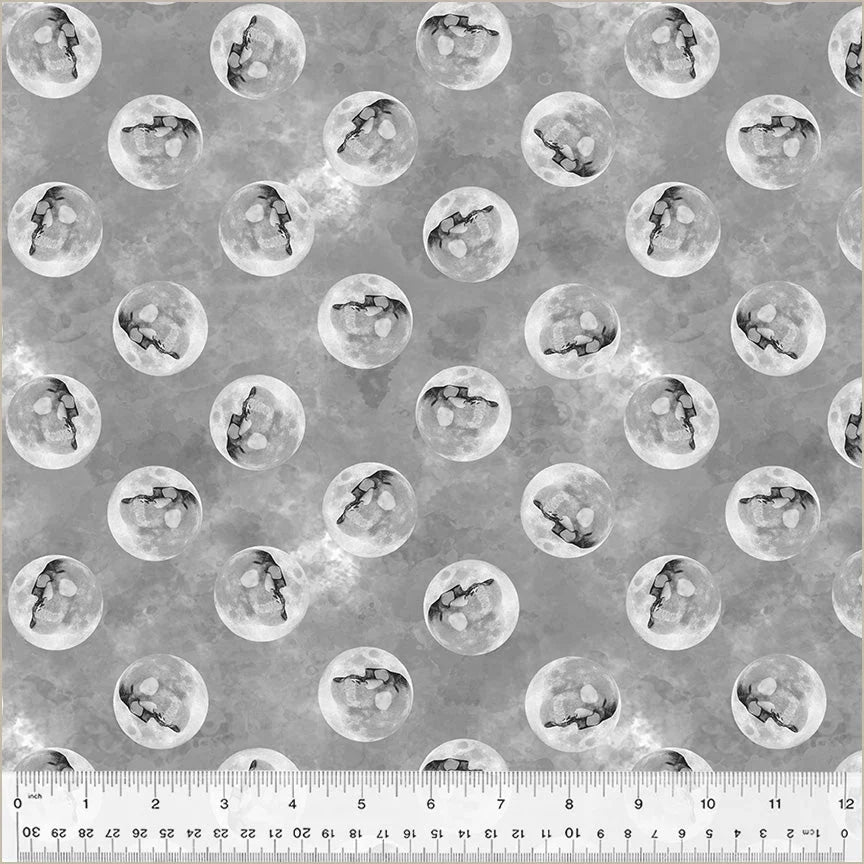 Full Moon Dark Side of the Moon Shadow novelty quilting fabric by Whistler Studios for Windham Fabrics