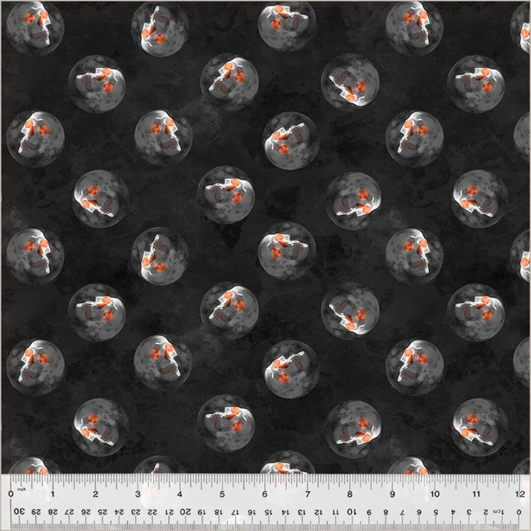 Full Moon Dark Side of the Moon Midnight novelty quilting fabric by Whistler Studios for Windham Fabrics