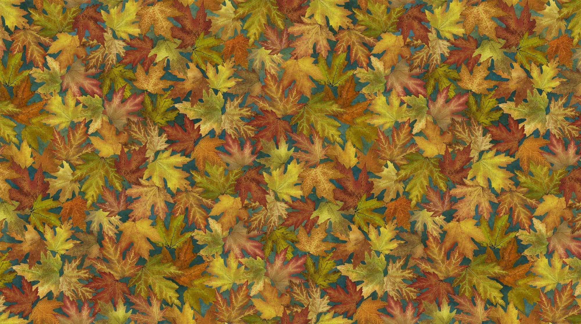 Stonehenge Autumn Splendor Packed Leaves Dark Teal Multi quilting fabric detail by Northcott