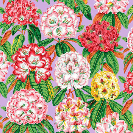 Free Spirit Kaffe Fassett Rhododendrons Lavender quilting fabric