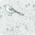 Songbird Dove quilting fabric by Robert Kaufman
