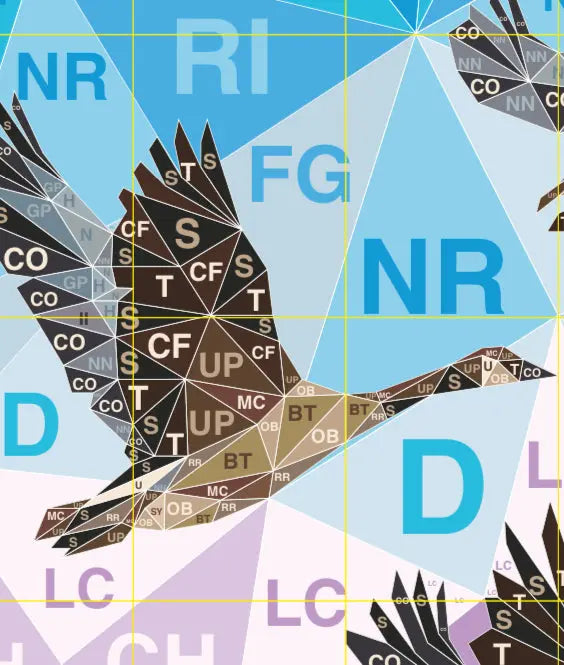 Legit Flying Geese Quilt Kit - Linda's Electric Quilters