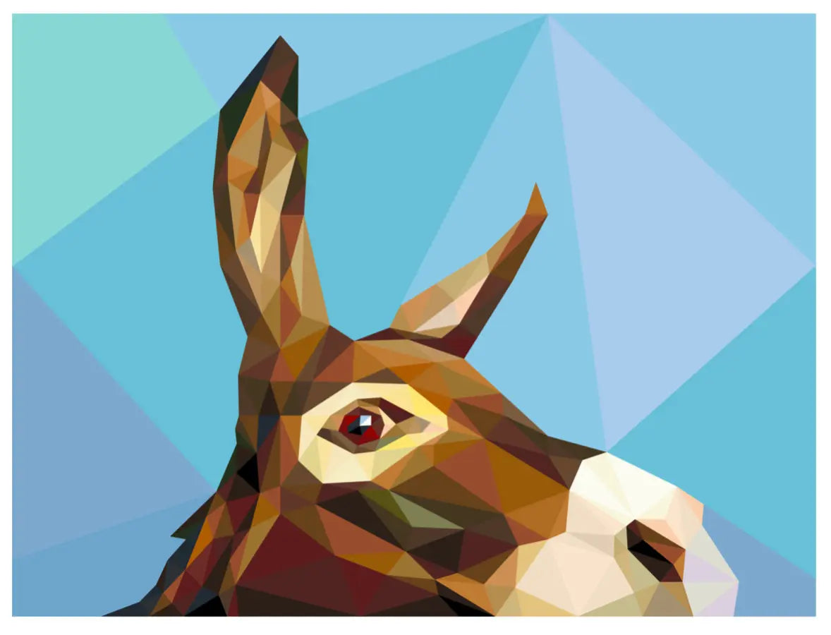 Lucy Loo Quilt Kit - Linda's Electric Quilters