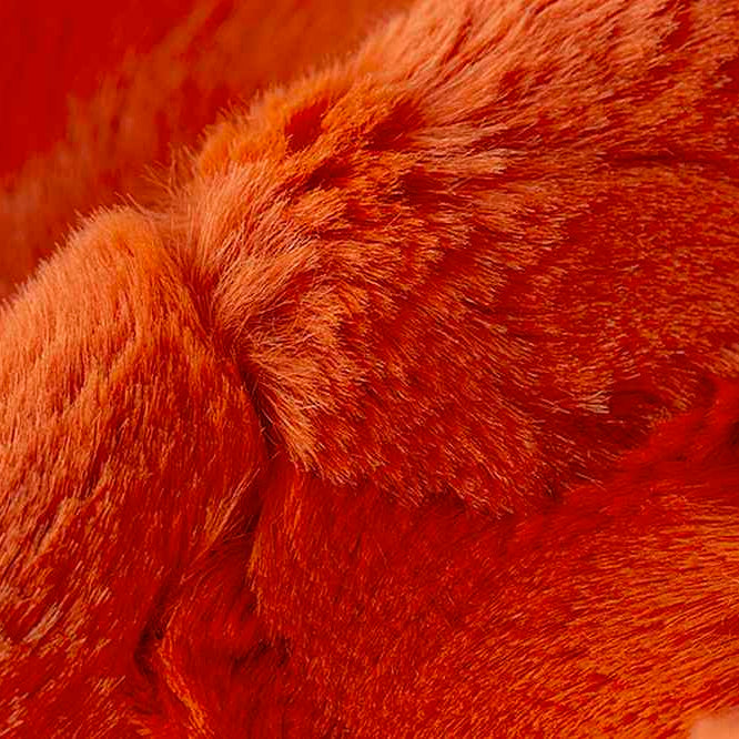 LCHIDE MANDARIN LINDA'S