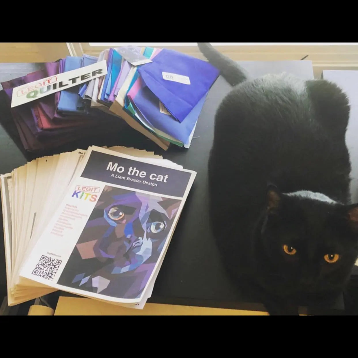 Mo the Cat Pattern Legit Kits