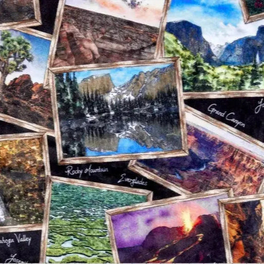 National Parks Digital Cuddle Black - Linda's Electric Quilters
