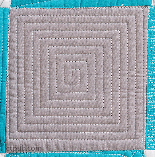 Next Steps in Machine Quilting - Free-Motion & Walking Foot Designs