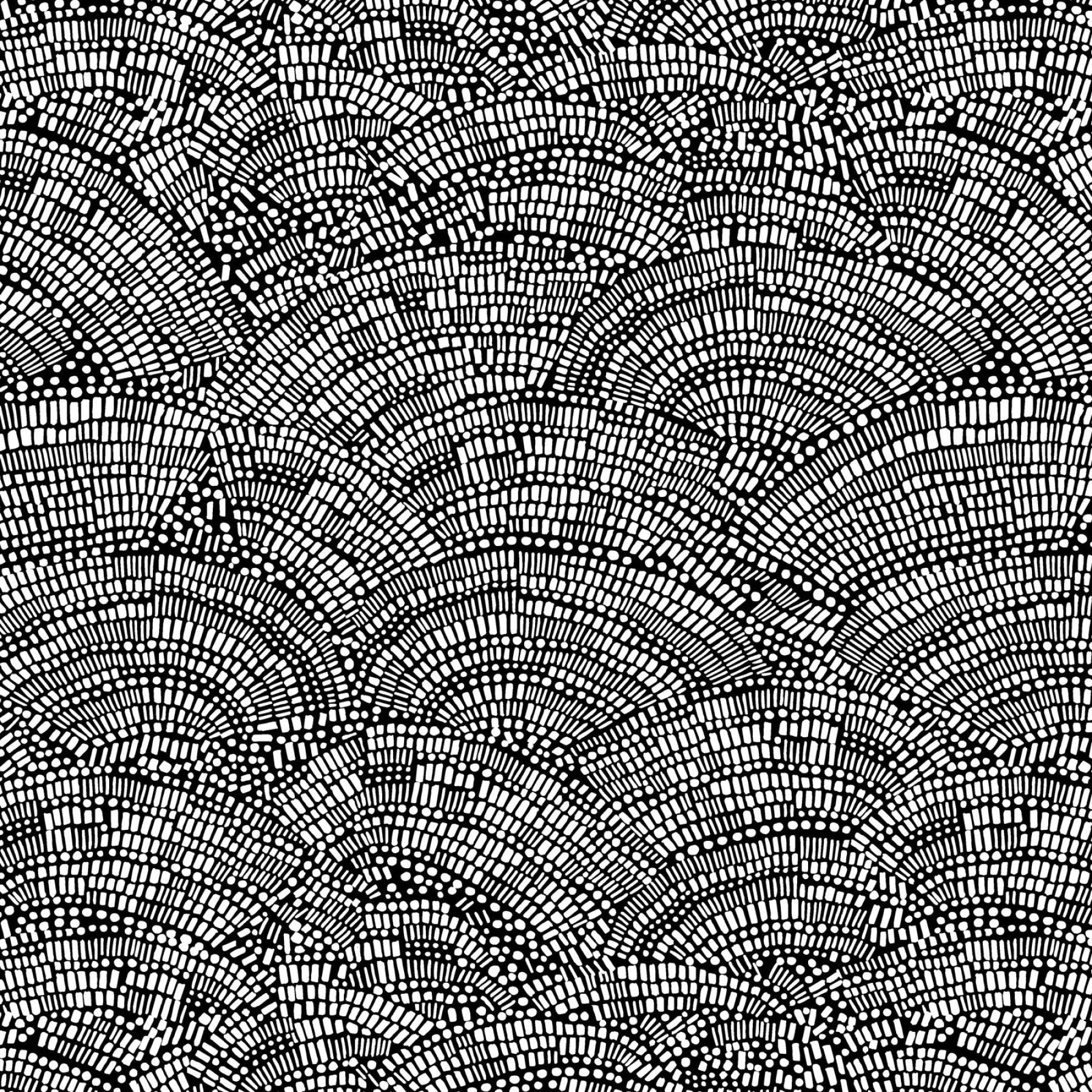 Not So Black and White Mosaic Fan Cotton Wideback Fabric Per Yard - Linda's Electric Quilters
