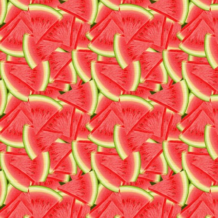 Paintbrush Studio Homestead watermelon quilting cotton fabric