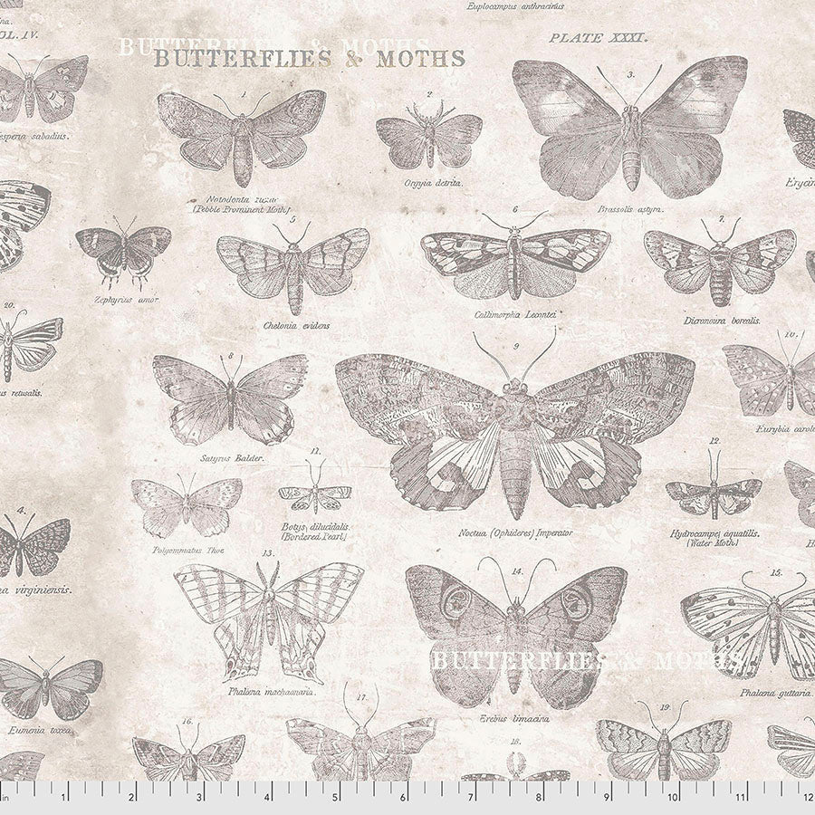 Tim Holtz Monochrome Butterflies quilting cotton in Parchment