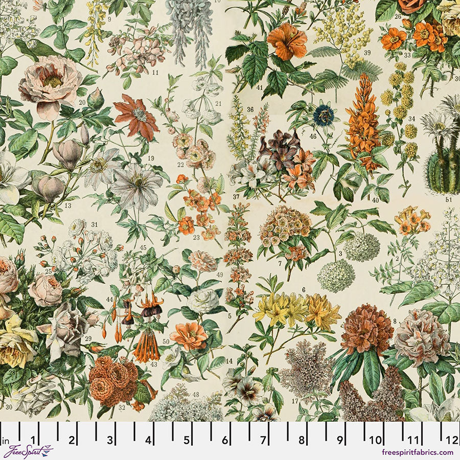 Tim Holtz Palette Botanical print quilting cotton in Orange by FreeSpirit Fabrics