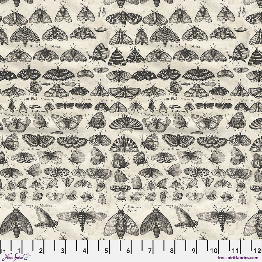 Free Spirit Tim Holtz Palette Charcoal Moths quilting fabric