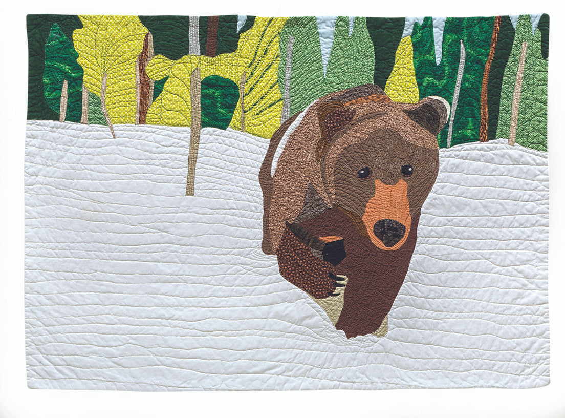 Paint-by-Number Quilts