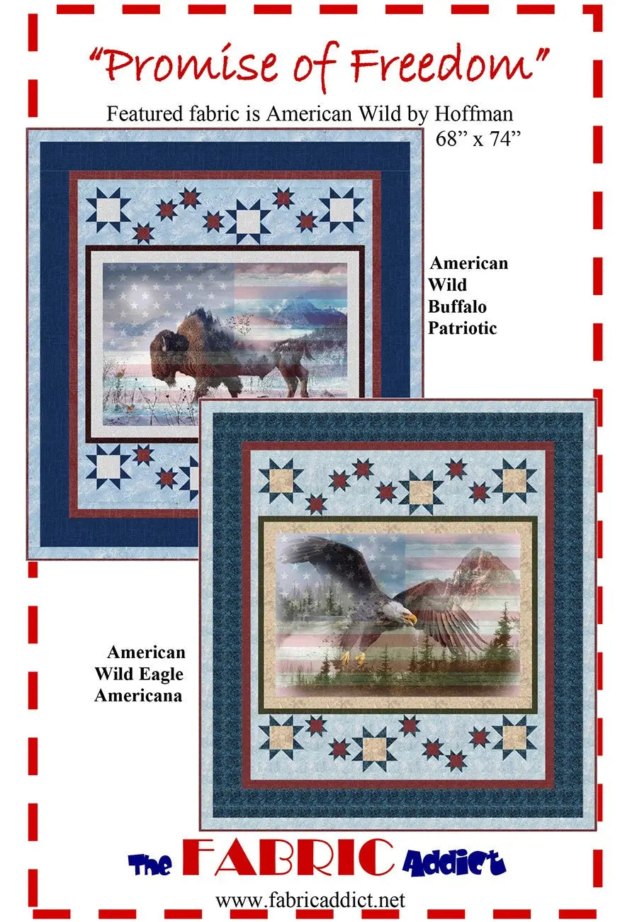 Promise of Freedom - Linda's Electric Quilters