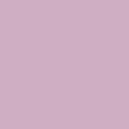 Shannon Fabrics Corsage Quilting Cuddle Solid plush minky fabric in soft pink