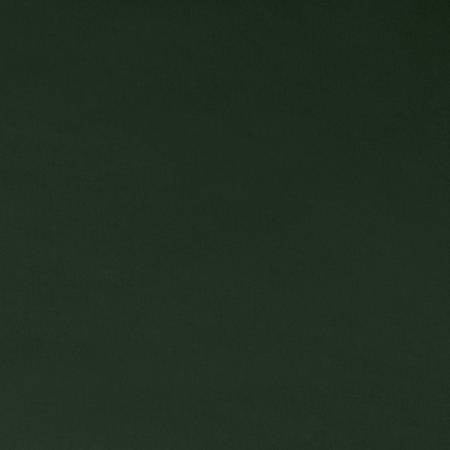 Shannon Fabrics Forest Quilting Cuddle Solid plush minky fabric in deep green