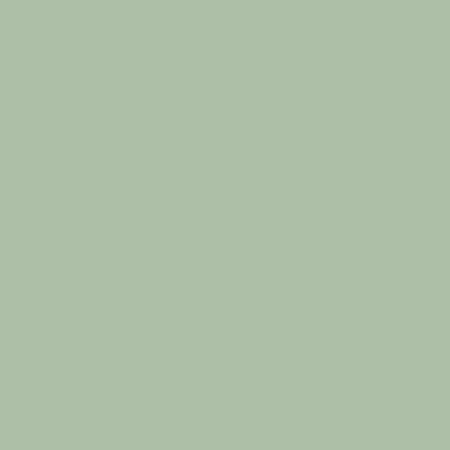 Shannon Fabrics Quilting Cuddle Solid Meadow Green minky fabric