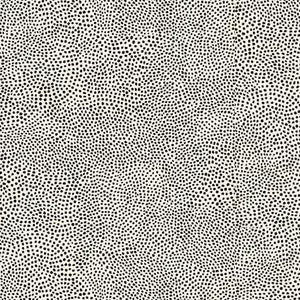 Floral Allure Cream Black Dots quilting fabric by Quilting Treasures