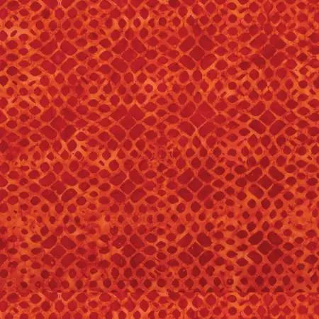 Riley Blake BTHH1251 - Halloween Expressions - Desire 45" Fabric Per Yard Fabric Fanatics